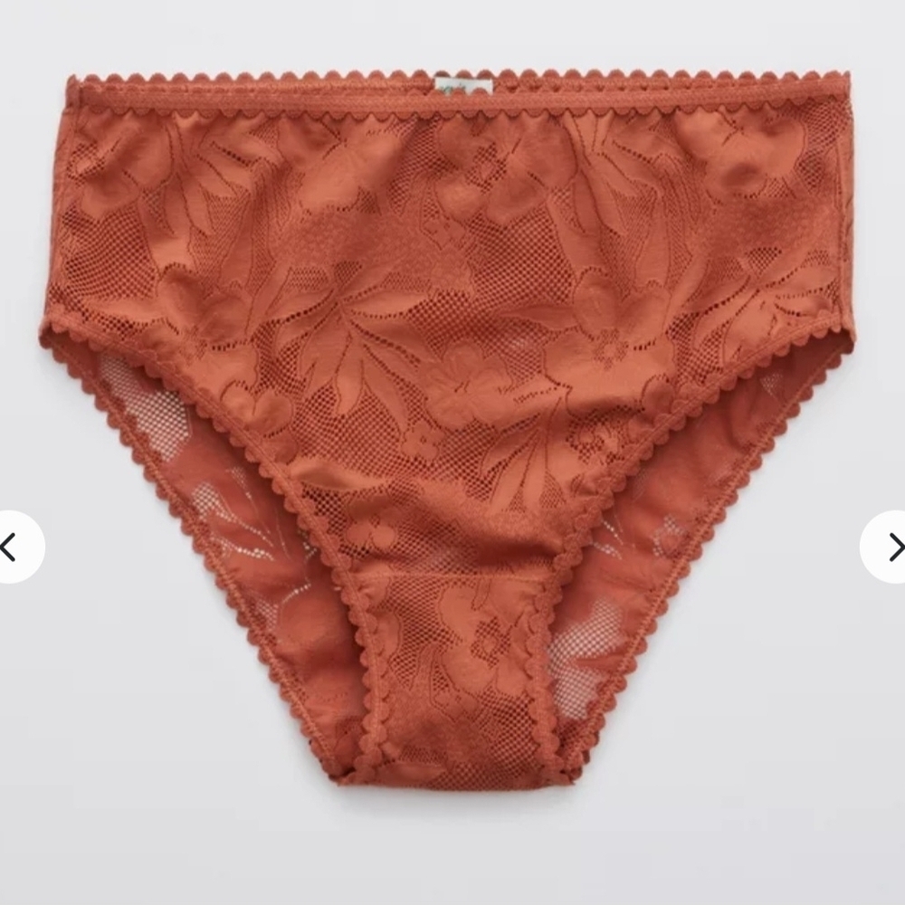 Aerie Cheetah Lace High Waisted Bikini Underwear Size M NWT